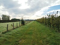IMG_20241006_104742694