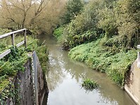 IMG_20241006_102726657