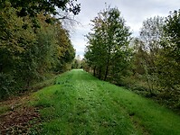 IMG_20241006_101635664_HDR