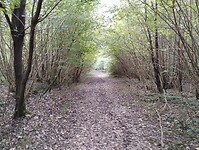 IMG_20241006_100953870