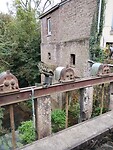 IMG_20241007_160013771