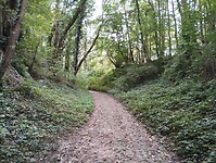 IMG_20241007_155749455