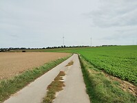 IMG_20241007_142918948