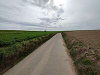 IMG_20241007_142538489
