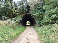 IMG_20241007_141613245