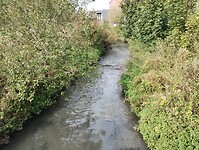 IMG_20241007_135651339