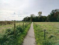 IMG_20241007_132724446_HDR