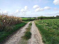 IMG_20241007_120729861