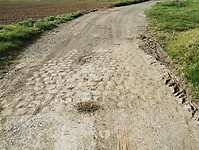 IMG_20241007_115907037
