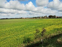 IMG_20241007_114737464