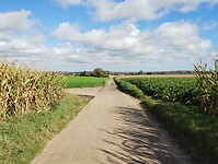 IMG_20241007_112713770