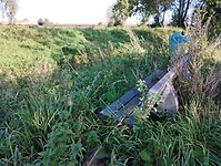 IMG_20241007_100357839