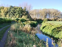 IMG_20241007_095423239