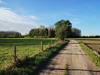 IMG_20241007_094227852