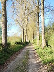 IMG_20241007_093015098