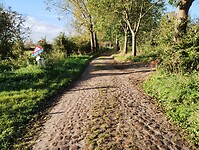 IMG_20241007_092002794