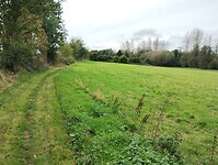 IMG_20241008_133941634