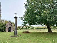 IMG_20241008_132959175_HDR