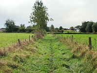 IMG_20241008_123323086