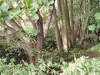 IMG_20241008_123238831