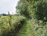 IMG_20241008_123149446_HDR