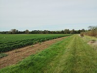 IMG_20241008_115040492