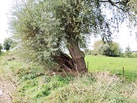 IMG_20241008_114229163