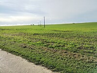 IMG_20241008_111539495