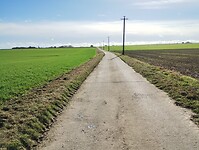 IMG_20241008_111142863