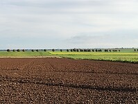 IMG_20241008_093906524