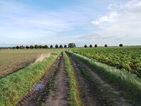 IMG_20241008_093351563