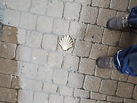 IMG_20241009_114023770