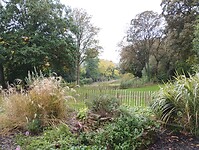 IMG_20241009_113223139