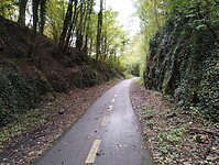 IMG_20241009_104819094