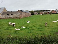 IMG_20241009_100025537