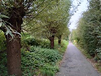 IMG_20241009_095751300_HDR