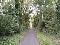 IMG_20241009_095622433
