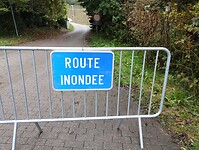 IMG_20241010_115857994