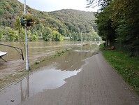 IMG_20241010_115246620