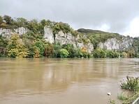 IMG_20241010_114446941