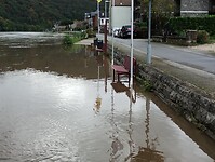 IMG_20241010_114236047