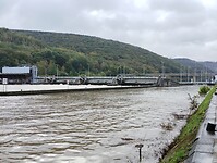 IMG_20241010_110328151