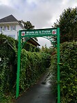 IMG_20241010_101541915_HDR