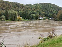 IMG_20241010_100713469