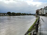 IMG_20241010_093651789