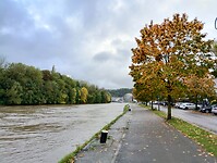 IMG_20241010_093001888_HDR