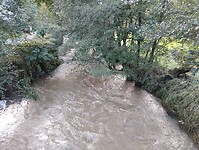 IMG_20241011_180213473