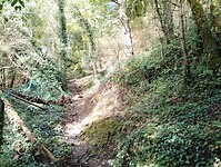 IMG_20241011_151412337