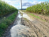 IMG_20241011_143534036_HDR
