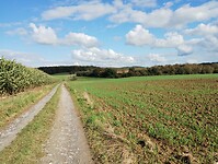IMG_20241011_142749208